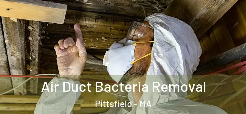 Air Duct Bacteria Removal Pittsfield - MA
