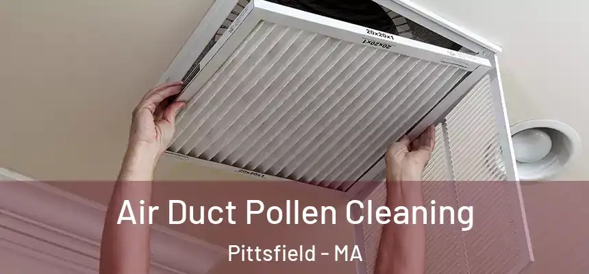 Air Duct Pollen Cleaning Pittsfield - MA