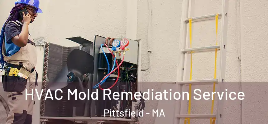 HVAC Mold Remediation Service Pittsfield - MA