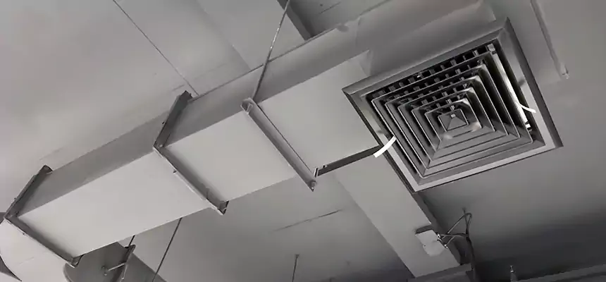 Restorative Allergy Relief Vent Cleaning – Coil, Blower & Housing Detail in Pittsfield