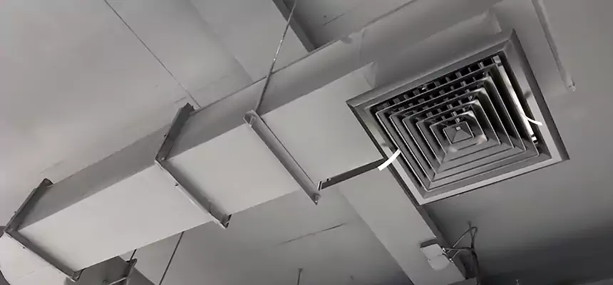 Our Pest Removal From Ducts Services in Pittsfield, MA