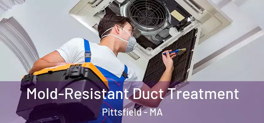  Mold-Resistant Duct Treatment Pittsfield - MA