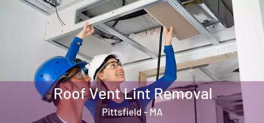 Roof Vent Lint Removal Pittsfield - MA