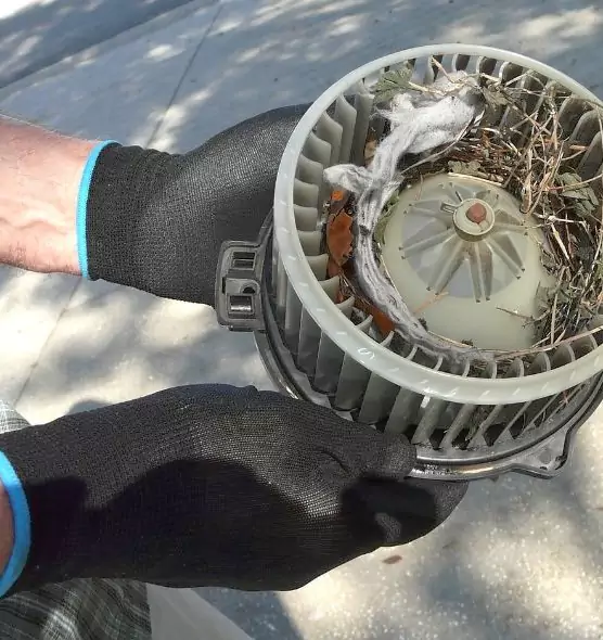 About Air Duct Rat Removal in Pittsfield, MA