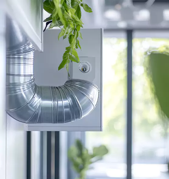 Professional Eco-Safe Dryer Vent Cleaning in Pittsfield, MA