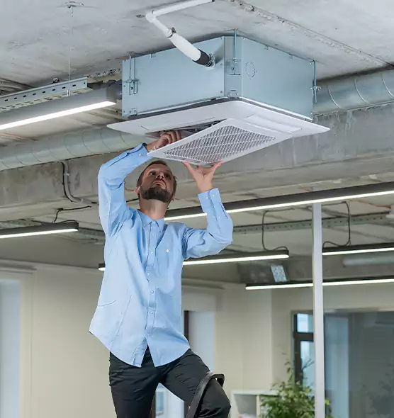 Advanced Rodent Droppings In Vents in Pittsfield, MA