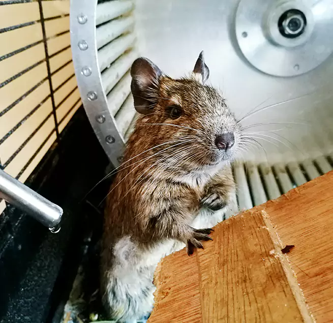 Why Homeowners & Businesses Trust Us Pittsfield, MA?