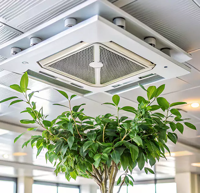 Why Homeowners & Businesses Trust Us in Pittsfield, MA